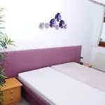 Hotel Brainy *