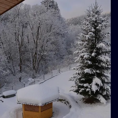 Brainy * Krasno nad Kysucou